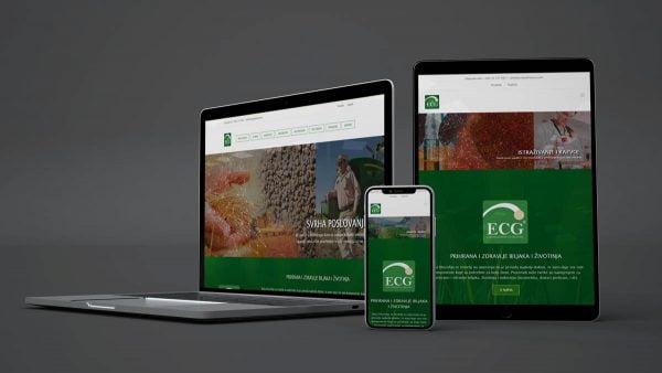 ECG - Izrada Web Stranice